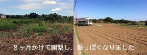 花見川区の新規有機農業(まだ名称はありません)の仕事イメージ