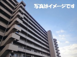 プラスワン株式会社の仕事イメージ