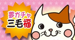 株式会社アイアンブリッジの仕事イメージ